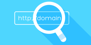 Domain name checker