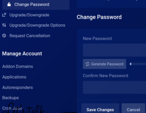 How to reset Cpanel password on client area