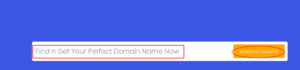 Domain Name Search Nigeria