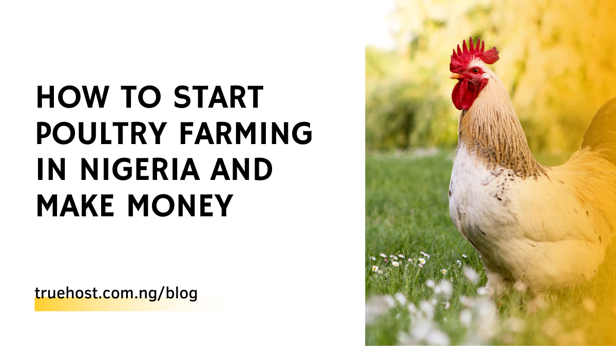 how to start poultry farming in Nigeria